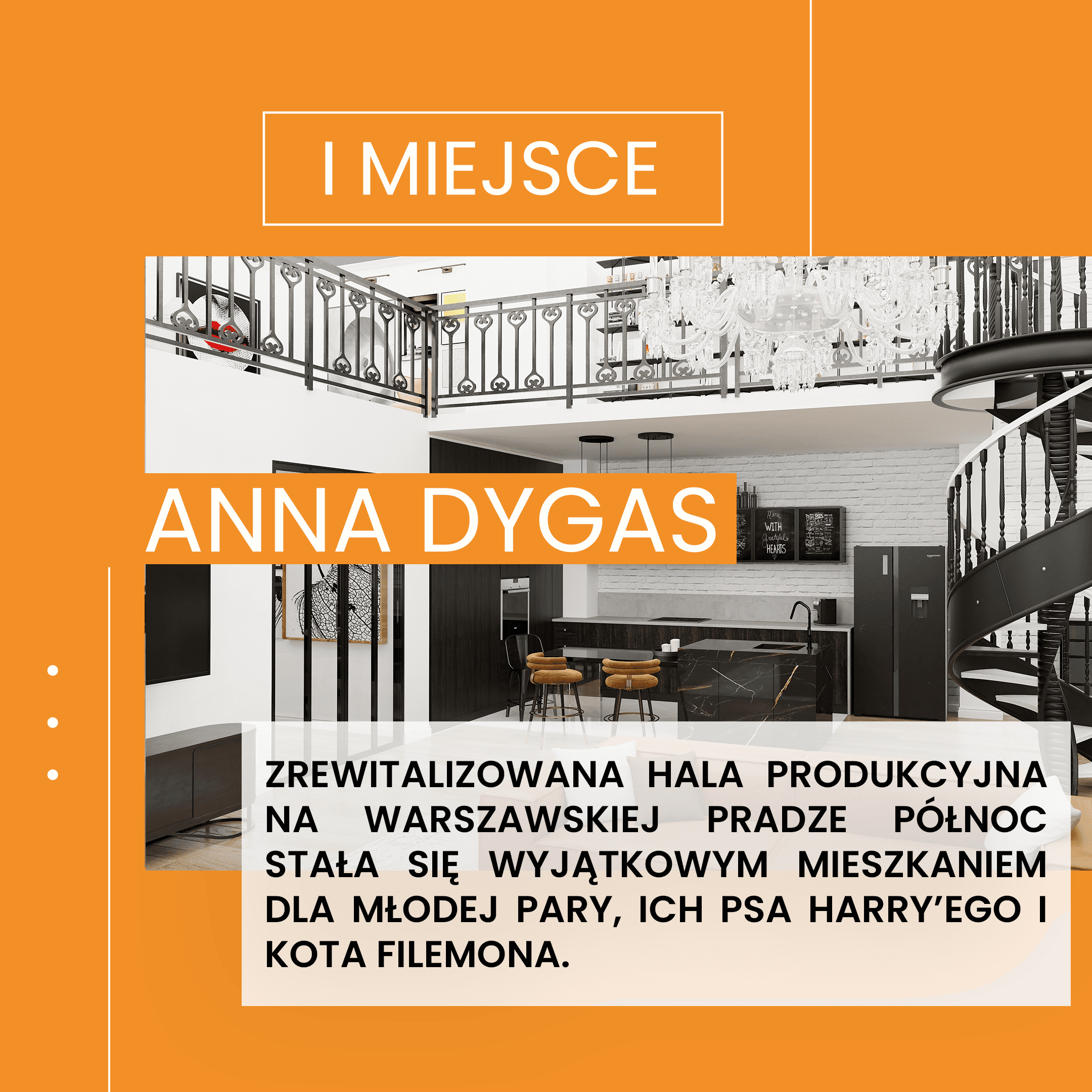 konkurs AiHouse Anna Dygas I miejsce